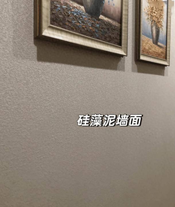 为了环保,全屋刷了硅藻泥,住了两年的真实体验,真的苦不堪言